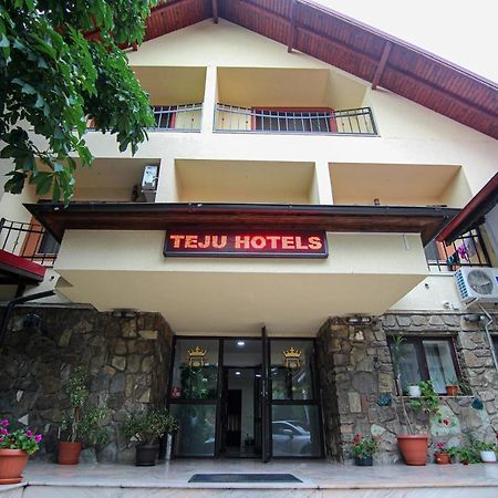 Teju Hotels Slănic Extérieur photo